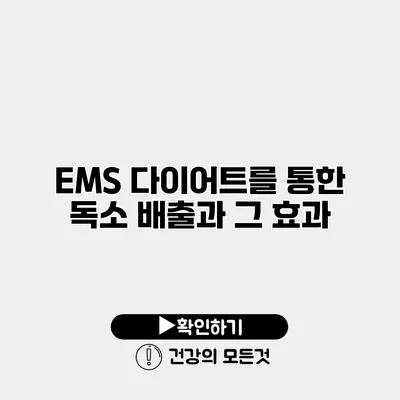 EMS 다이어트를 통한 독소 배출과 그 효과