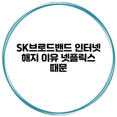 SK브로드밴드 인터넷 해지 이유 넷플릭스 때문?
