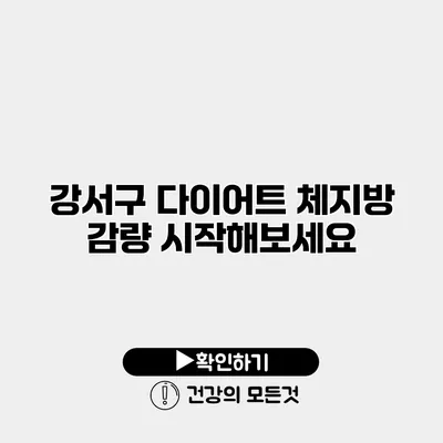 강서구 다이어트 체지방 감량 시작해보세요