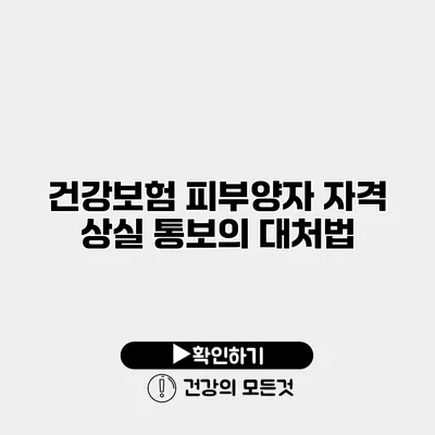 건강보험 피부양자 자격 상실 통보의 대처법
