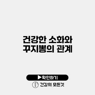 건강한 소화와 꾸지뽕의 관계