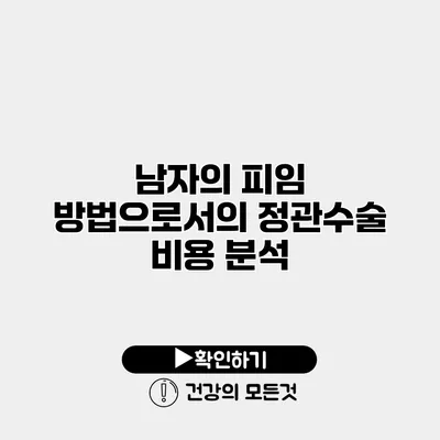 남자의 피임 방법으로서의 정관수술 비용 분석