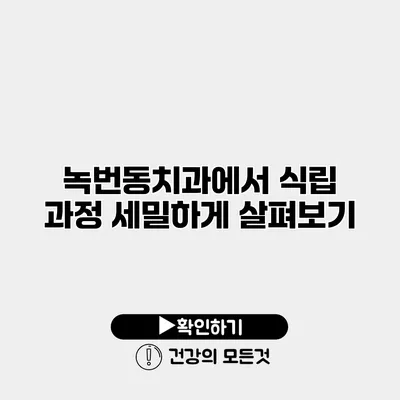 녹번동치과에서 식립 과정 세밀하게 살펴보기