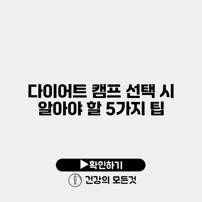 다이어트 캠프 선택 시 알아야 할 5가지 팁