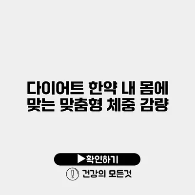 다이어트 한약 내 몸에 맞는 맞춤형 체중 감량