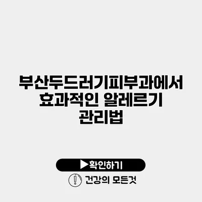 부산두드러기피부과에서 효과적인 알레르기 관리법