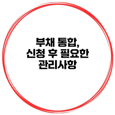 부채 통합, 신청 후 필요한 관리사항