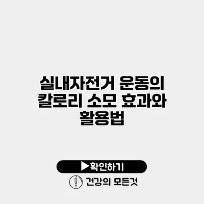 실내자전거 운동의 칼로리 소모 효과와 활용법