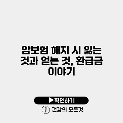 암보험 해지 시 잃는 것과 얻는 것, 환급금 이야기