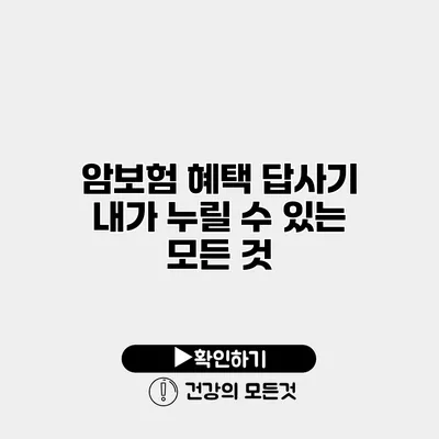 암보험 혜택 답사기 내가 누릴 수 있는 모든 것