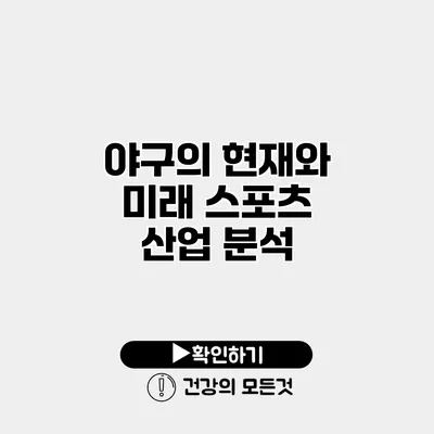 야구의 현재와 미래 스포츠 산업 분석