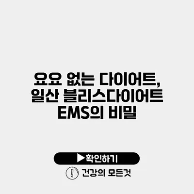 요요 없는 다이어트, 일산 블리스다이어트 EMS의 비밀
