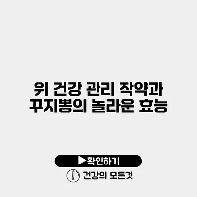 위 건강 관리 작약과 꾸지뽕의 놀라운 효능