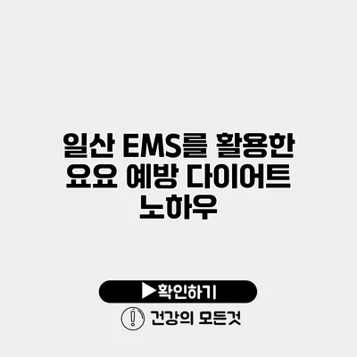 일산 EMS를 활용한 요요 예방 다이어트 노하우