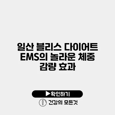 일산 블리스 다이어트 EMS의 놀라운 체중 감량 효과