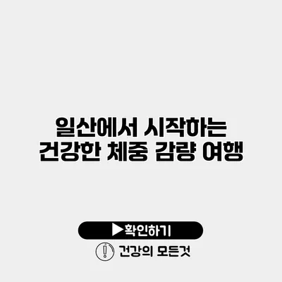 일산에서 시작하는 건강한 체중 감량 여행
