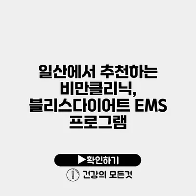 일산에서 추천하는 비만클리닉, 블리스다이어트 EMS 프로그램