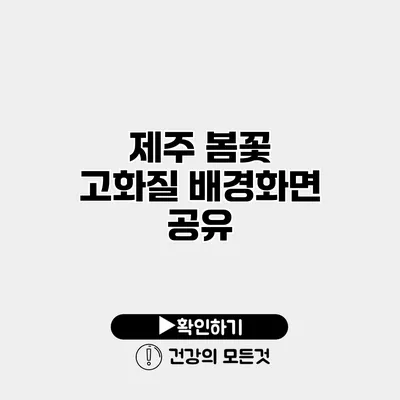 제주 봄꽃 고화질 배경화면 공유