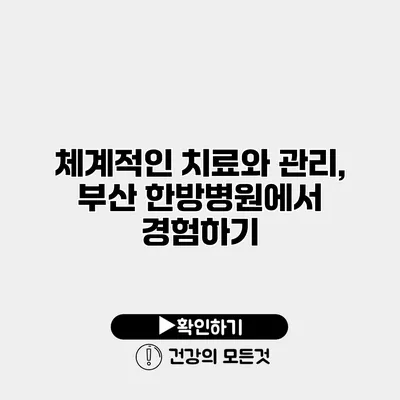 체계적인 치료와 관리, 부산 한방병원에서 경험하기