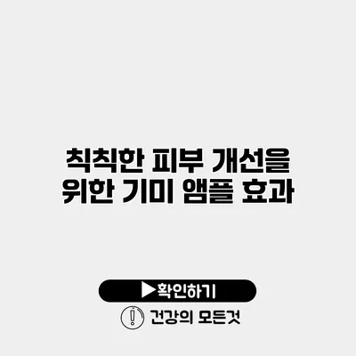 칙칙한 피부 개선을 위한 기미 앰플 효과