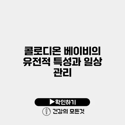 콜로디온 베이비의 유전적 특성과 일상 관리