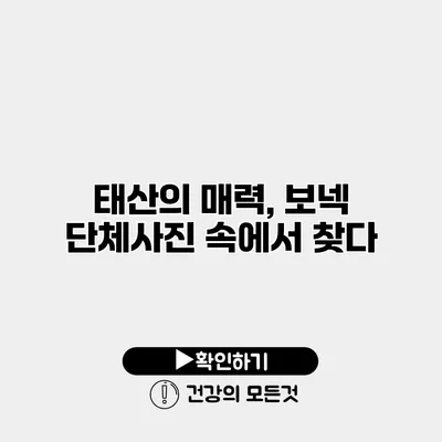 태산의 매력, 보넥 단체사진 속에서 찾다