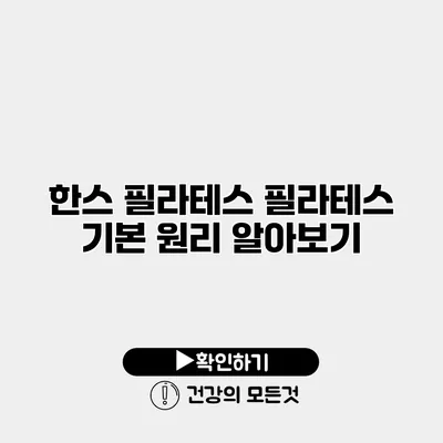 한스 필라테스 필라테스 기본 원리 알아보기