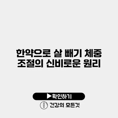 한약으로 살 빼기 체중 조절의 신비로운 원리