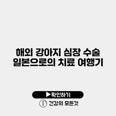 해외 강아지 심장 수술 일본으로의 치료 여행기