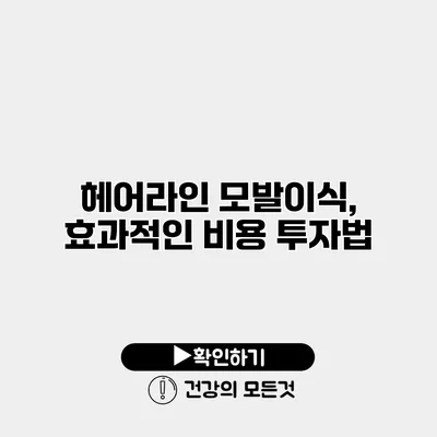 헤어라인 모발이식, 효과적인 비용 투자법
