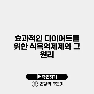 효과적인 다이어트를 위한 식욕억제제와 그 원리