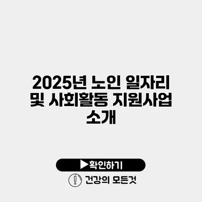 2025년 노인 일자리 및 사회활동 지원사업 소개