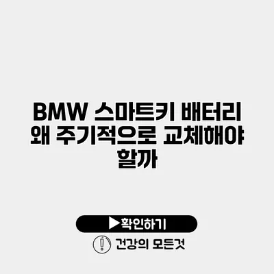 BMW 스마트키 배터리 왜 주기적으로 교체해야 할까?