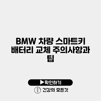 BMW 차량 스마트키 배터리 교체 주의사항과 팁