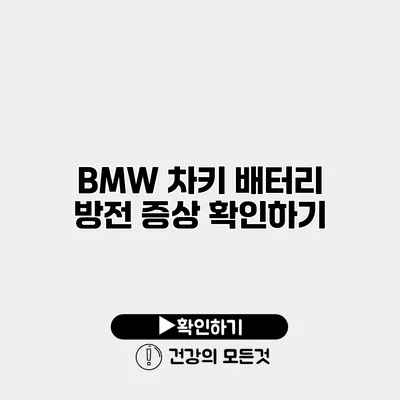 BMW 차키 배터리 방전 증상 확인하기