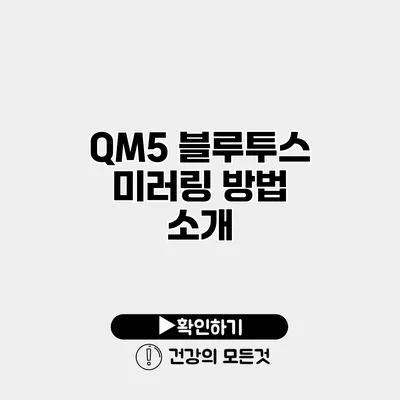QM5 블루투스 미러링 방법 소개