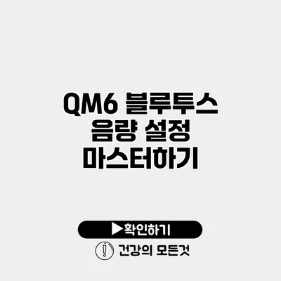 QM6 블루투스 음량 설정 마스터하기