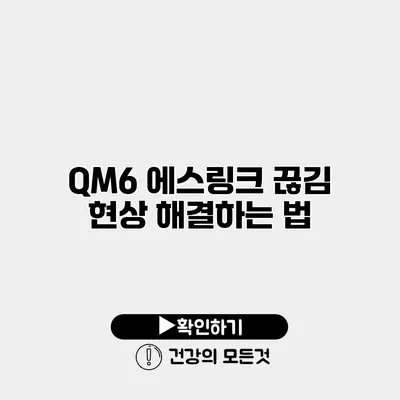 QM6 에스링크 끊김 현상 해결하는 법