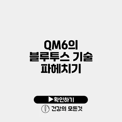 QM6의 블루투스 기술 파헤치기