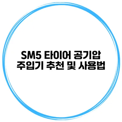SM5 타이어 공기압 주입기 추천 및 사용법