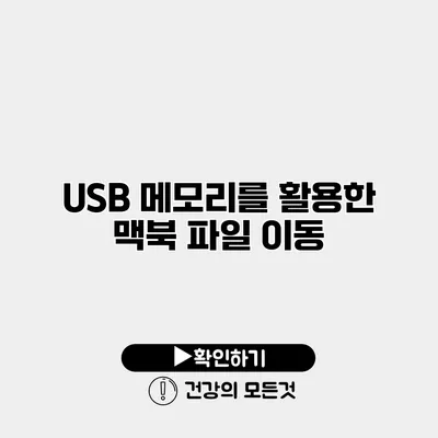 USB 메모리를 활용한 맥북 파일 이동