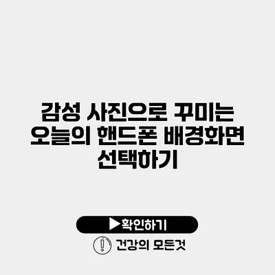 감성 사진으로 꾸미는 오늘의 핸드폰 배경화면 선택하기