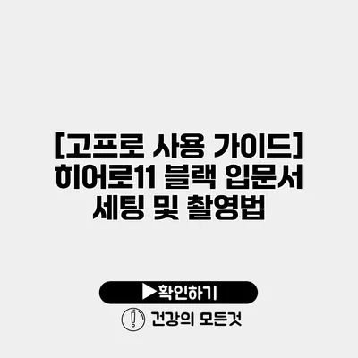 [고프로 사용 가이드] 히어로11 블랙 입문서 세팅 및 촬영법