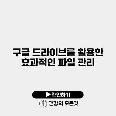 구글 드라이브를 활용한 효과적인 파일 관리