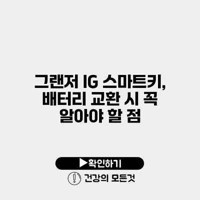 그랜저 IG 스마트키, 배터리 교환 시 꼭 알아야 할 점