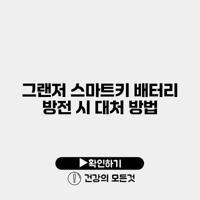 그랜저 스마트키 배터리 방전 시 대처 방법