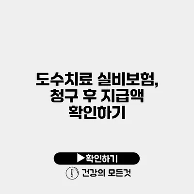 도수치료 실비보험, 청구 후 지급액 확인하기