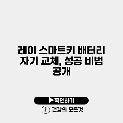 레이 스마트키 배터리 자가 교체, 성공 비법 공개