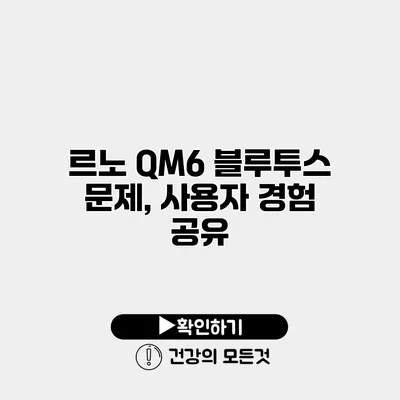 르노 QM6 블루투스 문제, 사용자 경험 공유