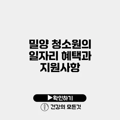 밀양 청소원의 일자리 혜택과 지원사항